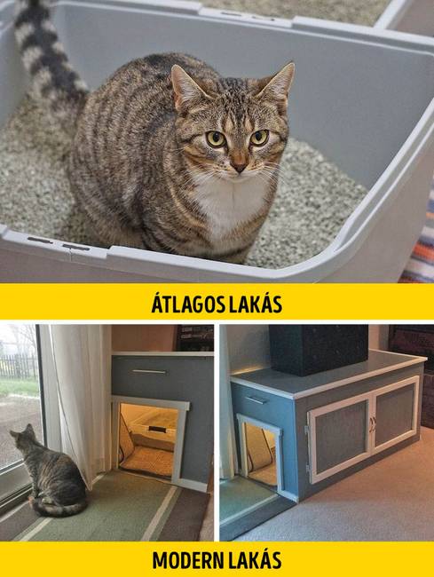 Elrejtett macskaalom