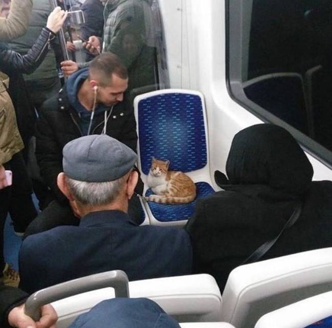 Átlagos pillanat a városi buszokon.