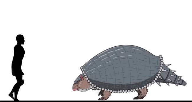 A Glyptodon az egyik legnagyobb páncélos állat volt a Földön.