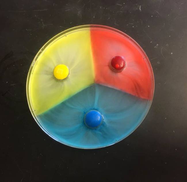 Ez történik, ha a különböző színű M&amp;M's-eket melegvízbe tesszük.