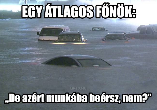 20 vicces mém a főnökökről, amit jobb, ha nem a munkahelyeden nézel meg