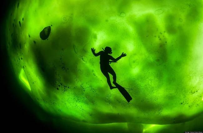A jég alatt úszva olyan, mintha az aurora borealis ragyogna az égen.