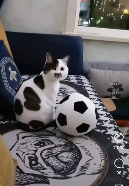 A lényeg, hogy nehogy összekeverd őket.