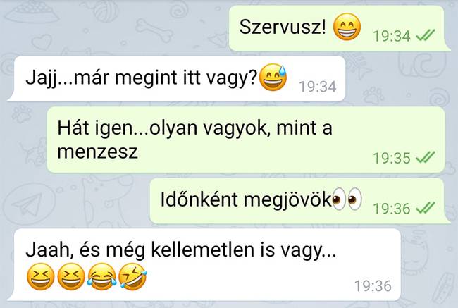 20 üzenet, ami bizonyítja, hogy a társkeresés néha kellemetlenül bonyolult