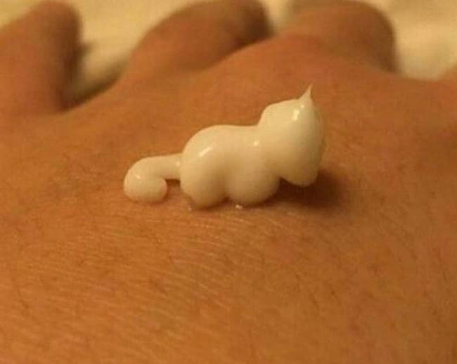 Ez a csepp krém úgy néz ki, mint egy kismacska.