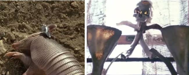 A texasi láncfűrészes mészárlás című filmben 230 kilogramm oszlásnak indult állati tetemet használtak ahhoz, hogy a színészek folyamatosan hányjanak.