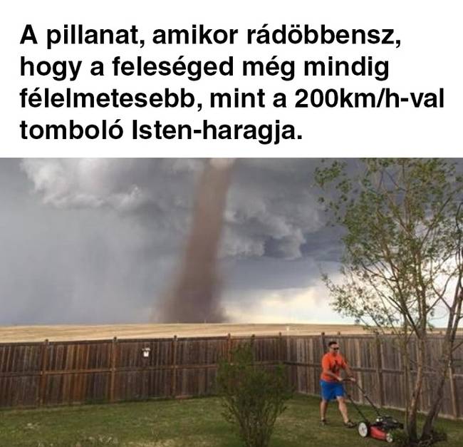 20 házassággal kapcsolatos mém, amit remekül summázza ezt az emberek közötti szent köteléket