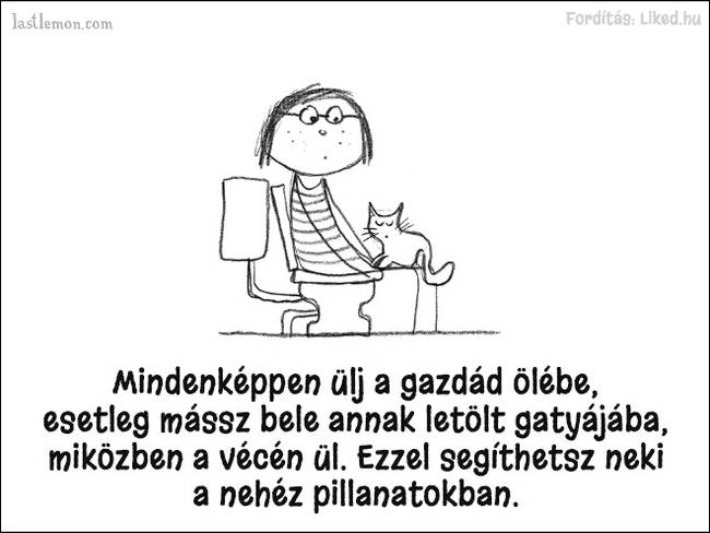 20 humoros illusztráció, ami megmutatja, hogyan kell jó macskának lenni
