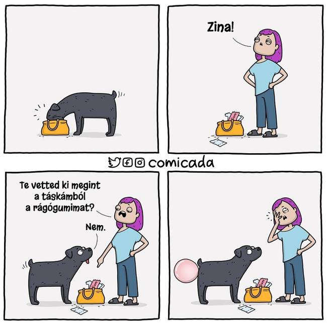 Az igazságra mindig fény derül.