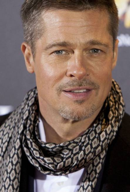 Brad Pitt (90.51%)