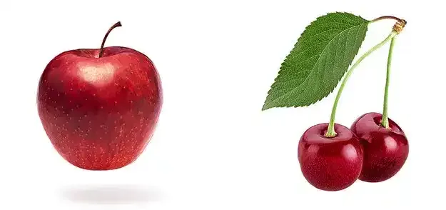 gyümölcsök és zöldségek teszt