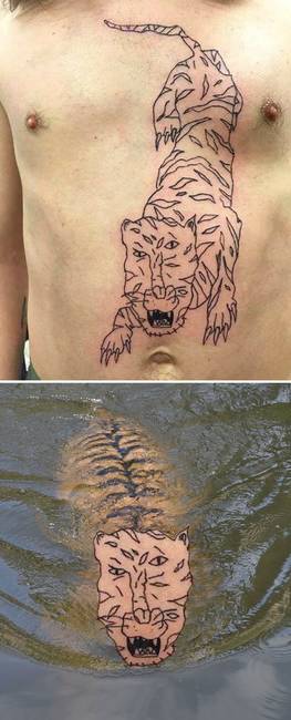 Tigris a vízben.