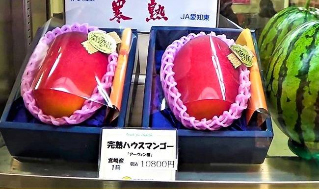 Taiyo-no-Tamago mangó: 440 ezer forint/darab