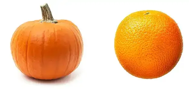 gyümölcsök és zöldségek teszt