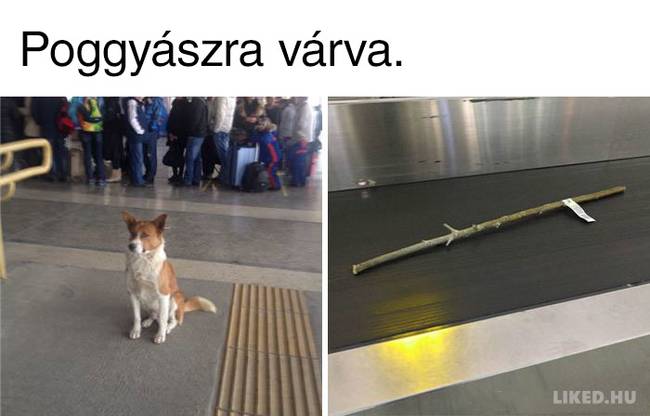 17 repüléssel kapcsolatos mém, amit mindenki át tud érezni, aki valaha is ült már repülőn életében