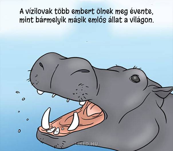 20 őrült tény az állatokról, amit nem tanítottak meg nekünk az iskolában