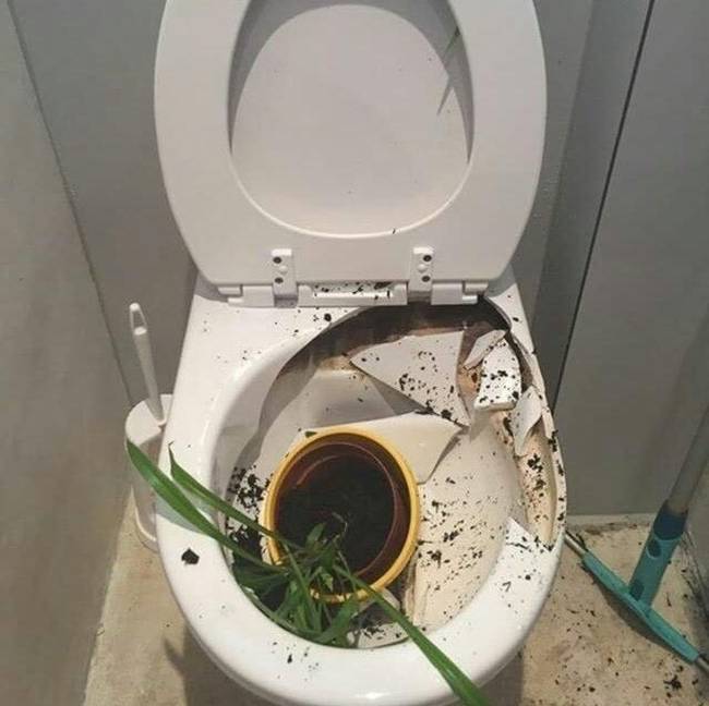 Ez az összetört virágcserép, most valakinek jobban fájt, mint általában szokott.