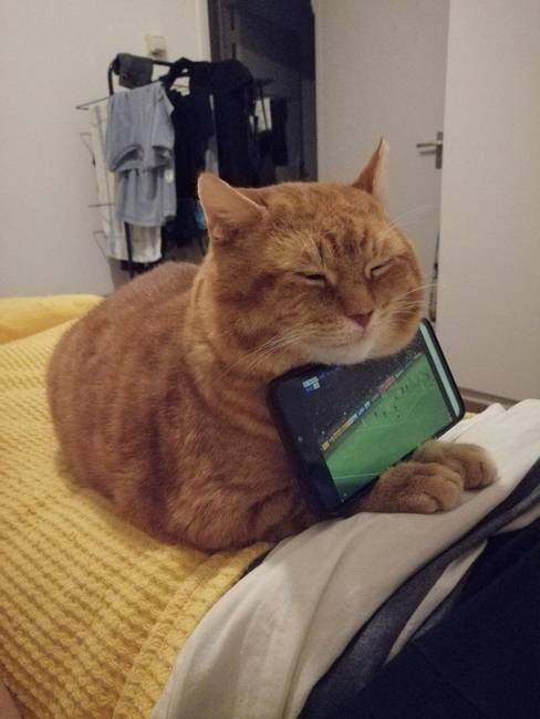 „Az új telefontartóm."