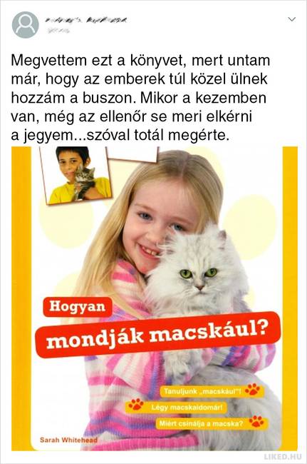 Végre valami, ami beváltotta a hozzá fűzött reményeket!