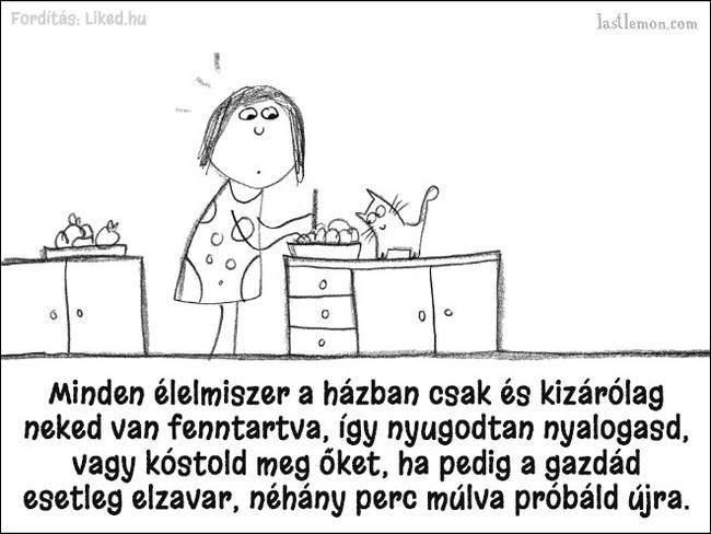 20 humoros illusztráció, ami megmutatja, hogyan kell jó macskának lenni