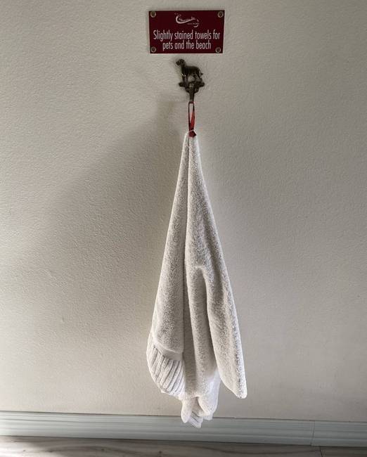 „A szállodában, ahol megszálltam, van egy speciális törülköző, kutyák számára."