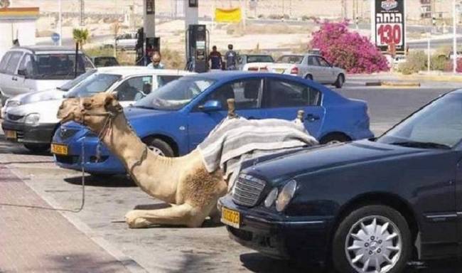 Vajon kell rá parkolójegy? És ha igen, hova rakja, a füle mögé?!