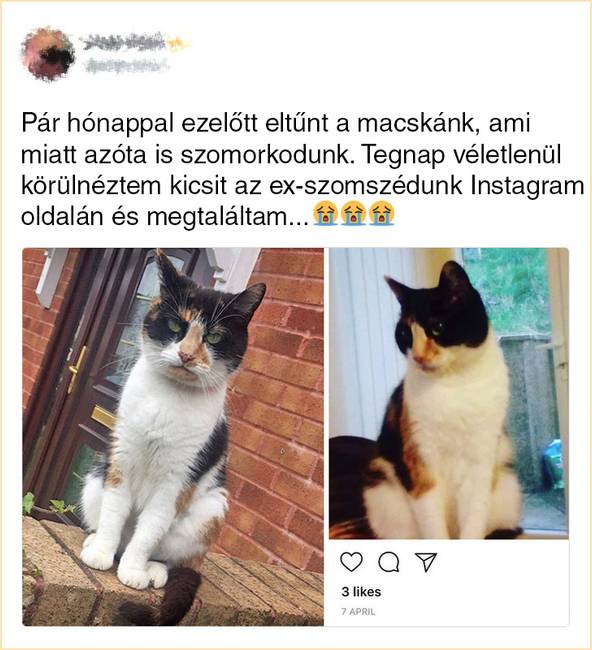 12 ember, akinek bonyolultabb a kapcsolata a szomszédjával, mint az exével