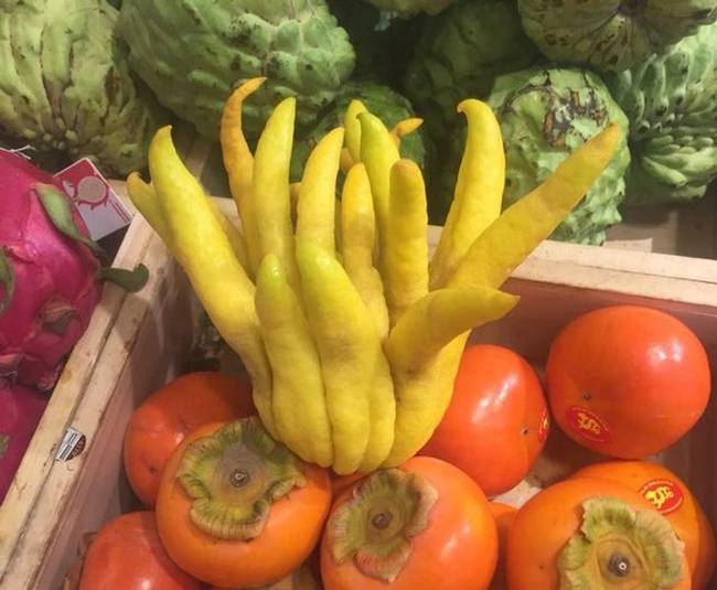 „Mi ez a titokzatos gyümölcs?"