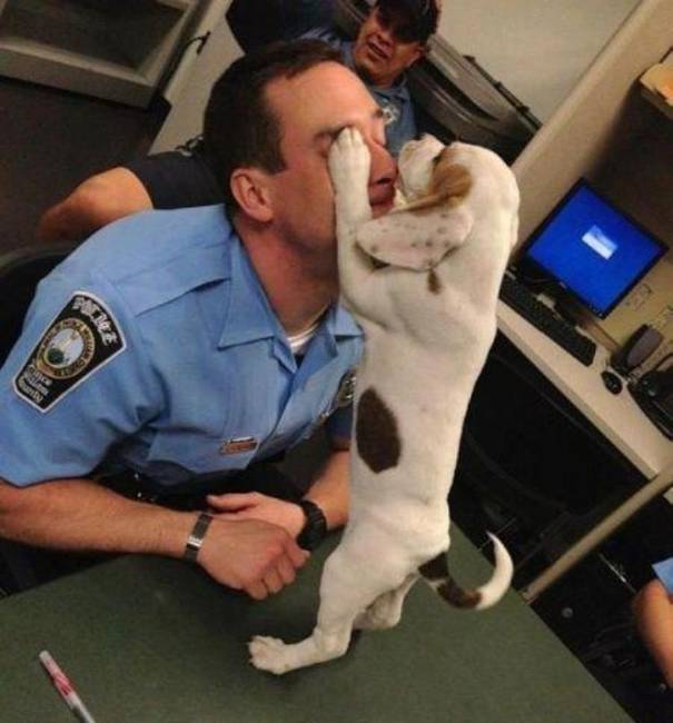 A rendőr örökbe fogadta ezt a beagle kiskutyát, akit a korábbi gazdái bántottak.