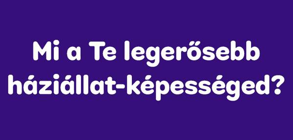 Kérdés 9