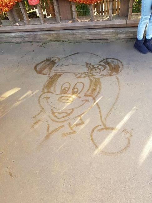 A szép és különleges apróságok szó szerint mindenhol megtalálhatók: a tokiói Disneyland takarítói például a mesehősöket rajzolják fel a felmosógéppel a járdára.