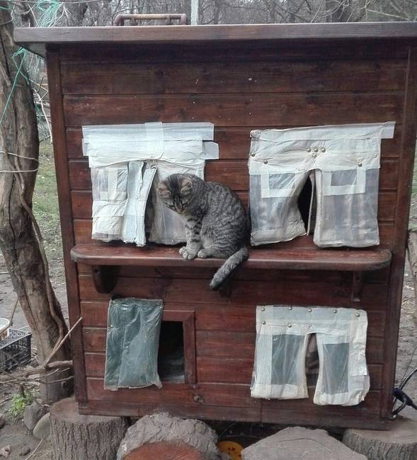 „Valaki cicaházat készített a helyi parkban a kóbor cicák számára. A kis "lakásokban" még puha ágyak is vannak."