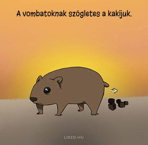 20 őrült tény az állatokról, amit nem tanítottak meg nekünk az iskolában