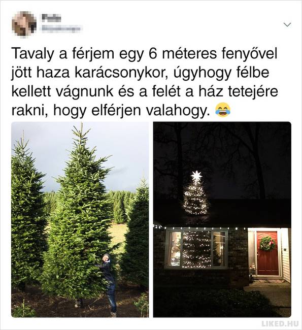 17 ember, aki pontosan tudja, hogyan kell kezelni a világ dolgait