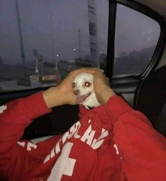 Kutyafejű szörny.