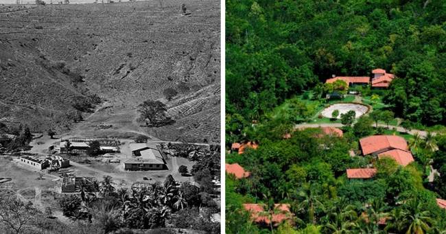 Helyreállított őserdő a brazíliai Minas Gerais államban - 1998-ban és 2012-ben készült fotók.