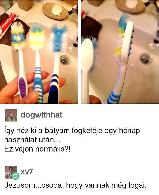 Túlbuzgó dentálhigiénia... :D