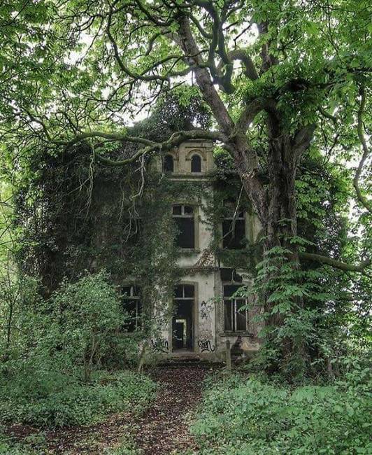 Ez a növényekkel benőtt kastély tökéletes lenne egy horrorfilmbe.