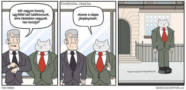 20 humoros illusztráció arról, hogy milyen lenne az élet, ha egy macska lenne a főnökünk