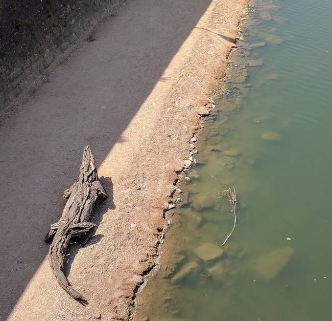 Barátságos krokodil, amire akár le is ülhetsz, ha úgy tartja kedved.