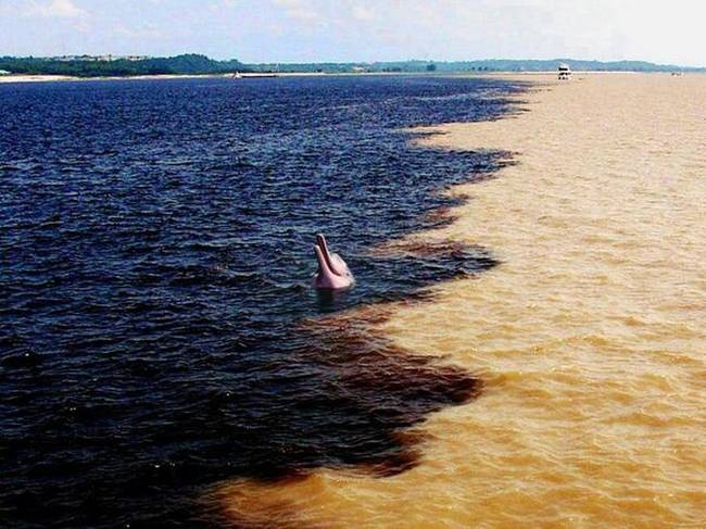 Így néz ki az Amazonas és a Rio Negro folyó találkozása Brazíliában. Az eltérő színt a két folyó eltérő talajrétege okozza.