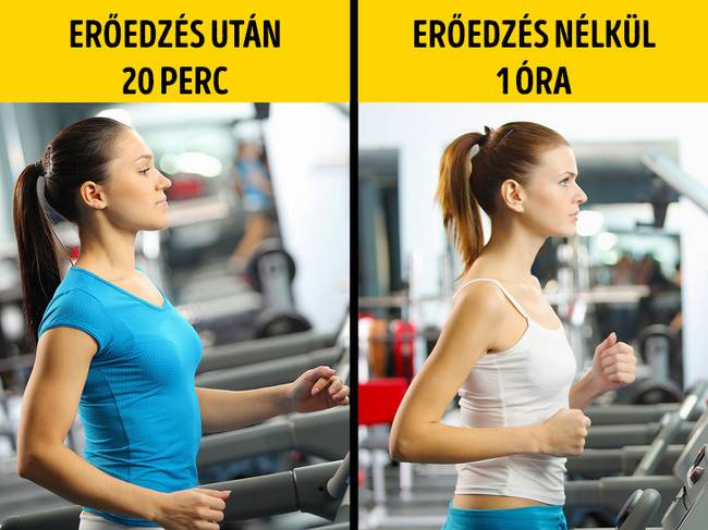 A kardio edzést tudatosan kell végezni.