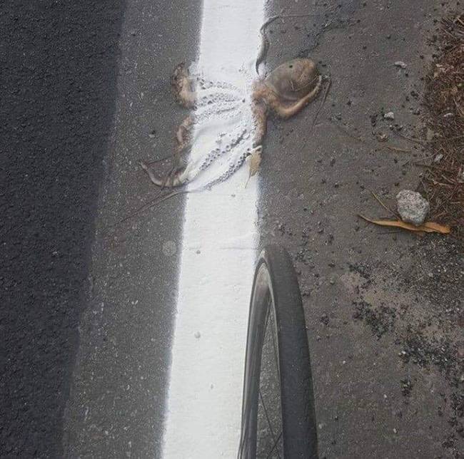 Ilyennel is csak Görögországban találkozhat az ember.