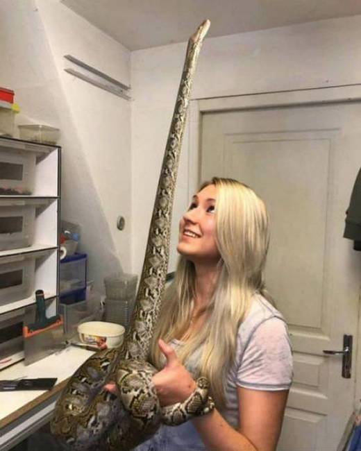 Most egy kicsit még jobban félünk a kígyóktól.