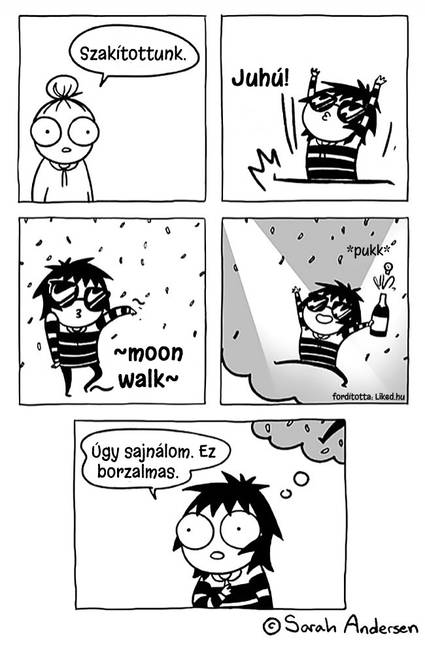 14 humoros képregény a független és felelősségteljes felnőtt életről