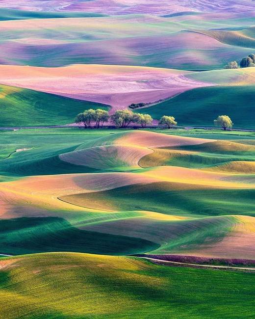 Palouse Hills, Washington.