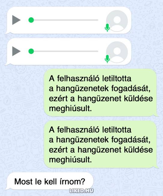 Te is utálod, amikor valaki hangüzenetet küld? Akkor csak küldd el neki ezt az üzenetet...😉