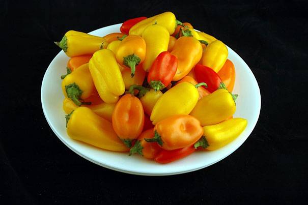 Mini-paprika (740 gramm)