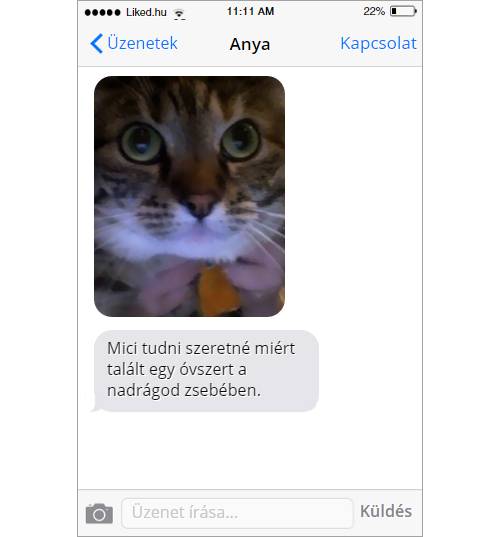 Mindenkit érdekel.