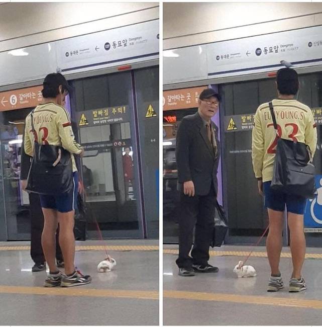 Eközben Dél-Koreában.